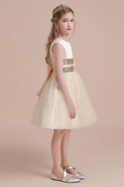 Chicloth A-Line Cute Sequins Tulle Flower Girl Dress Online