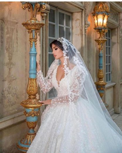 Chicloth Long Sleeves Ball Gown Wedding Dress Appliques V-Neck Bridal Gown