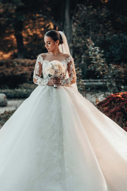 Chicloth Long Sleeves Ball Gown Wedding Dress V-Neck Tulle With Lace Beads