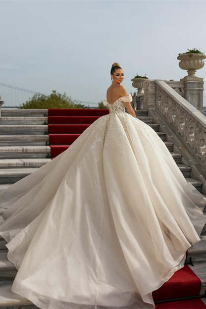 Chicloth Off-the-Shoulder Wedding Gown Tulle With Appliques