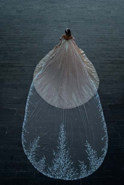 Chicloth Off-the-Shoulder Champagne Wedding Dress Ball Gown With Appliques