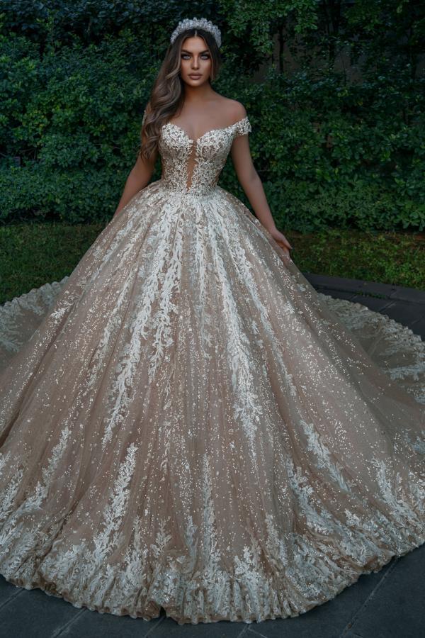 Chicloth Off-the-Shoulder Champagne Wedding Dress Ball Gown With Appliques