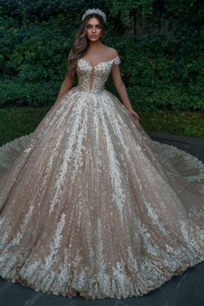 Chicloth Off-the-Shoulder Champagne Wedding Dress Ball Gown With Appliques