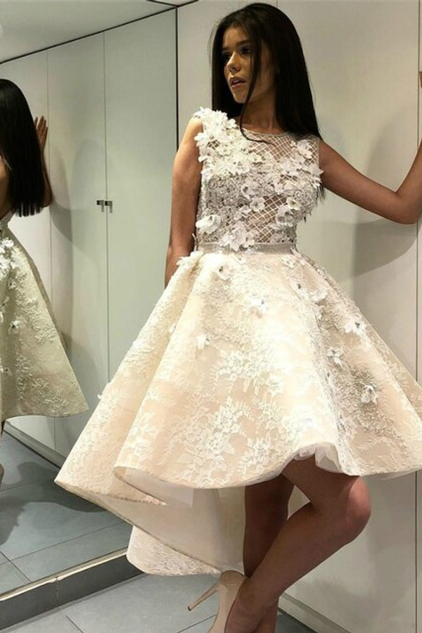 Charming Sleeveless 3D Floral Hi-Lo Party Dress Scoop Neck Lace Cocktail Dress