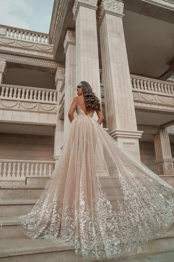 Fashion Sleeveless V-Neck Evening Dress A-Line Backless Prom Dress with Lace Appliques