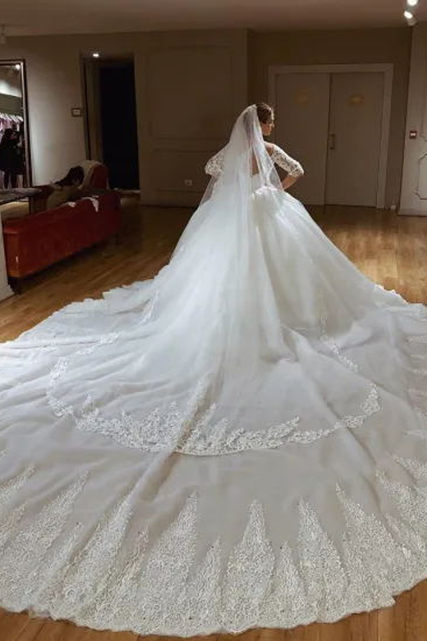 V-neck Lace Short Sleeve Ball Gown Wedding Dresses | Appliques Bridal Gowns With Court Train