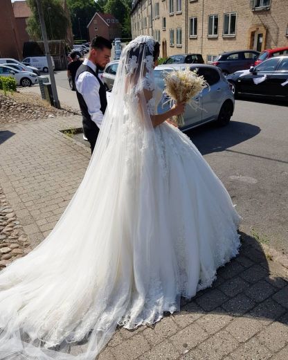 Chicloth Cap Sleeves Lace Wedding Dress Ball Gown V-Neck