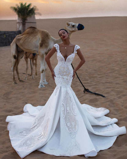 Chicloth Cap Sleeves Mermaid Lace Wedding Dress V-Neck Long