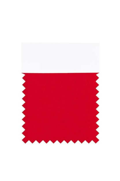Bridelily Chiffon Swatch with 34 Colors - Red - Swatches