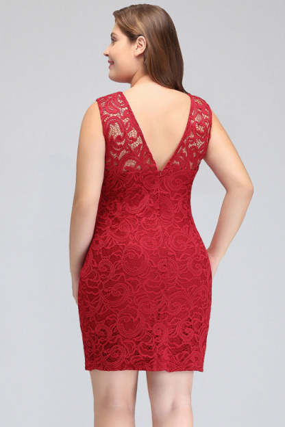 Chic Crew Neck Lace Mini Formal Dress Sleveless Short Party Wear Dress - Prom Dresses