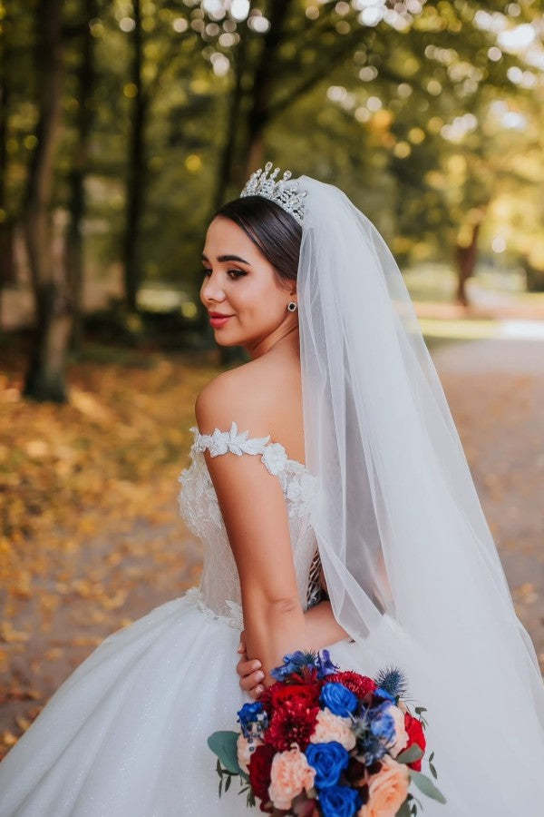 Chicloth Off-the-Shoulder V-Neck Ball Gown Wedding Dress With Appliques
