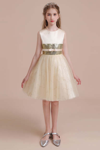 Chicloth A-Line Cute Sequins Tulle Flower Girl Dress Online