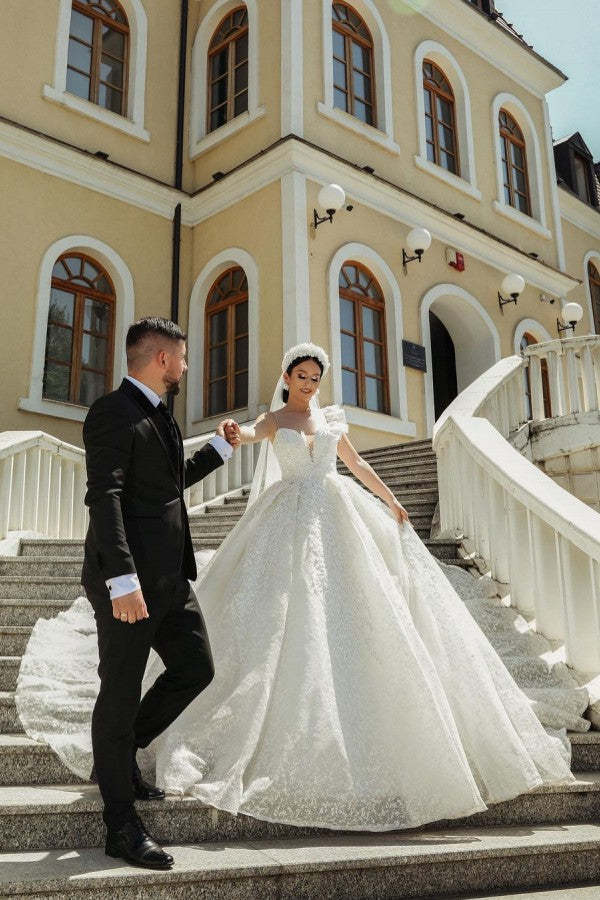 Chicloth V-Neck Sleeveless Prince Wedding Dress Ball Gown With Lace