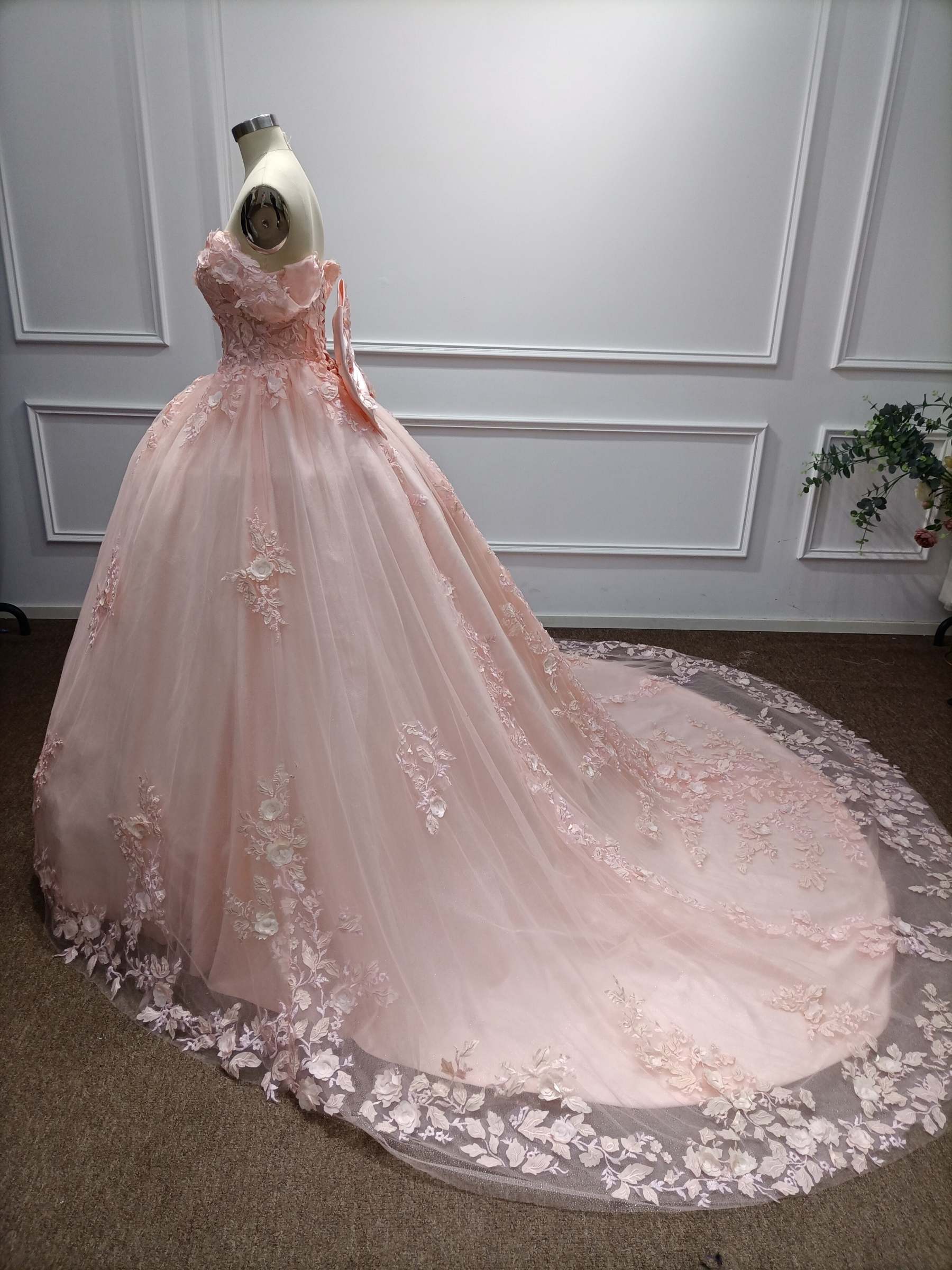 Off-the-Shoulder Tulle A-Line Evening Dresses with Applique
