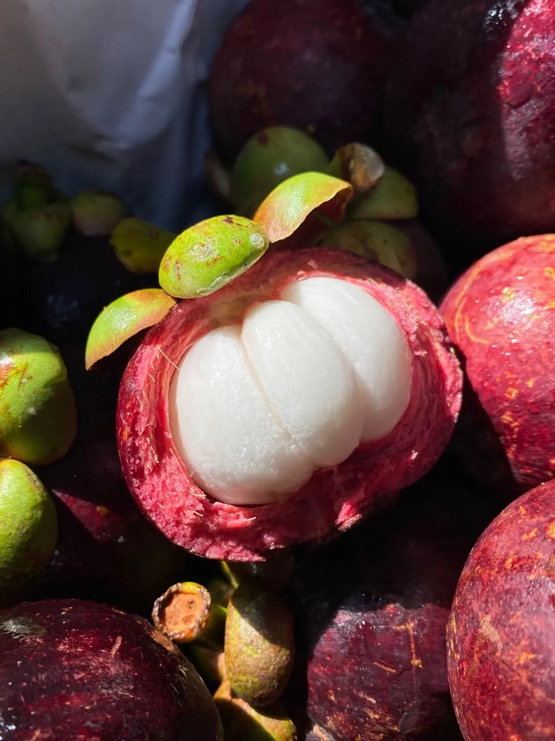 🌿 Mangosteen Seeds - Grow Your Own "Queen of Fruits"!