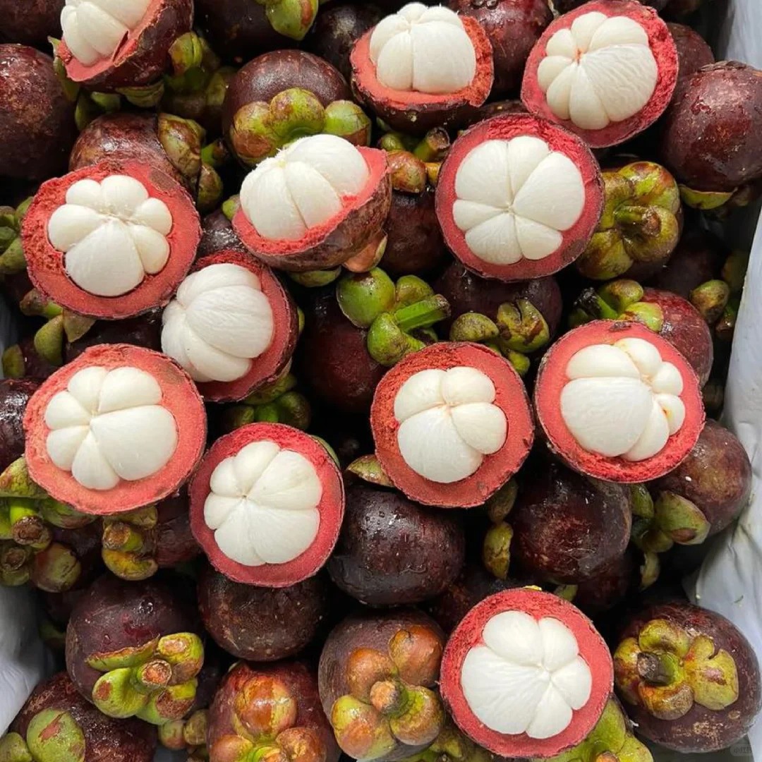 🌿 Mangosteen Seeds - Grow Your Own "Queen of Fruits"!