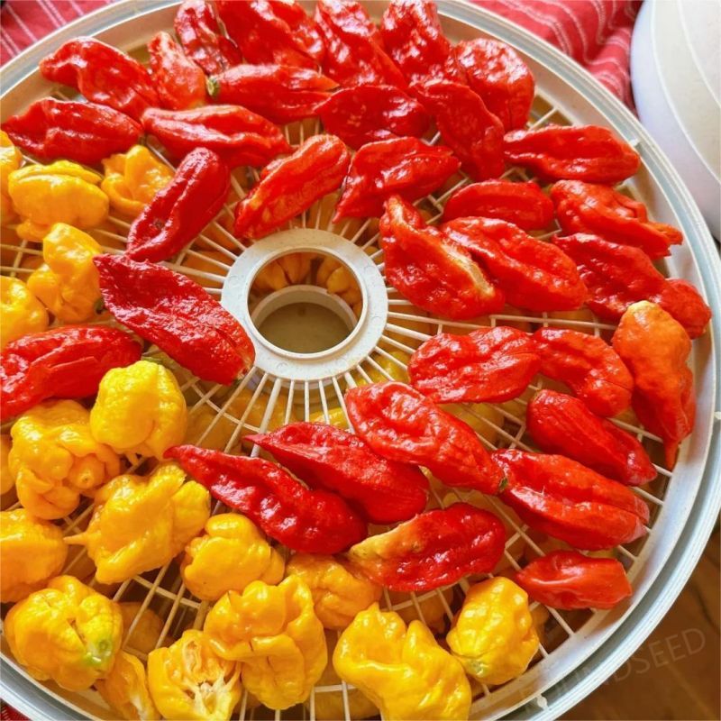 Semillas de Chile Mixtas