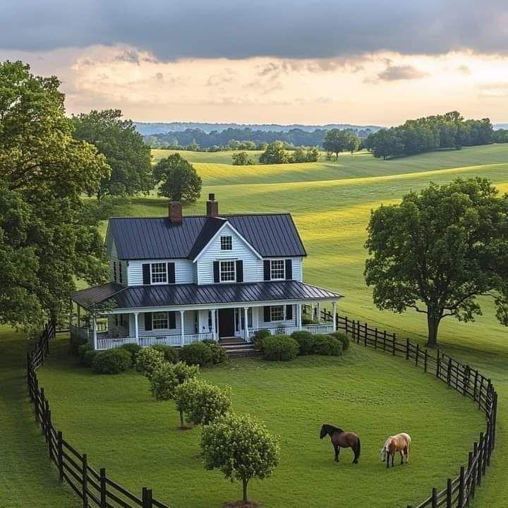 🔥🌿All-Season EverGreen Grass Seeds Mix 🌿