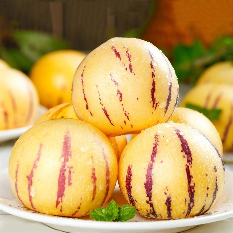 🍐🍐Graines de Pepinos (Melon Poire)