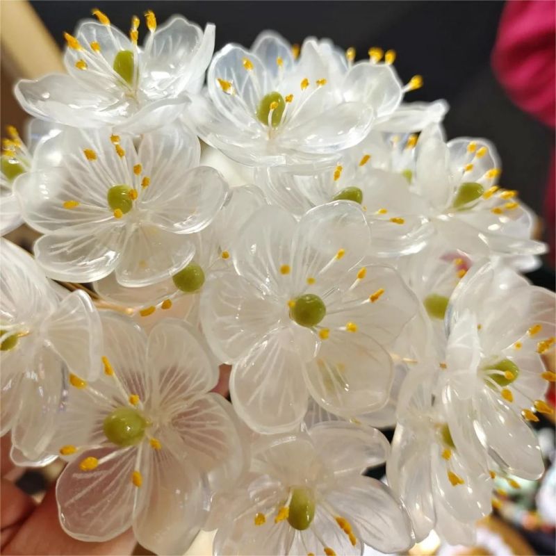 🎁50% de Réduction 🔥Grains de Fleur de Diphylleia grayi - fleur squelette