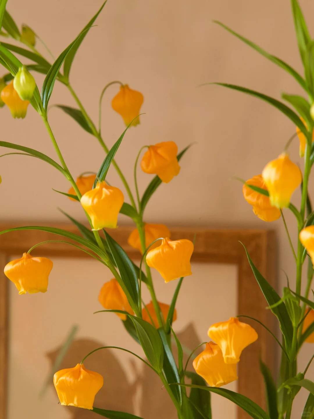 Palace Lantern Lily Flower Seeds