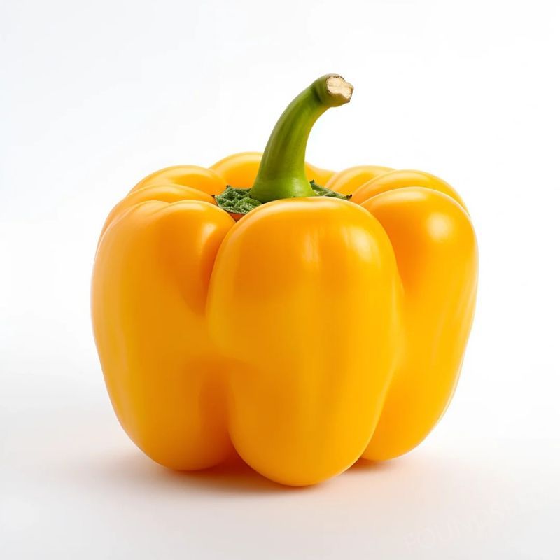 Semillas de Chile Mixtas