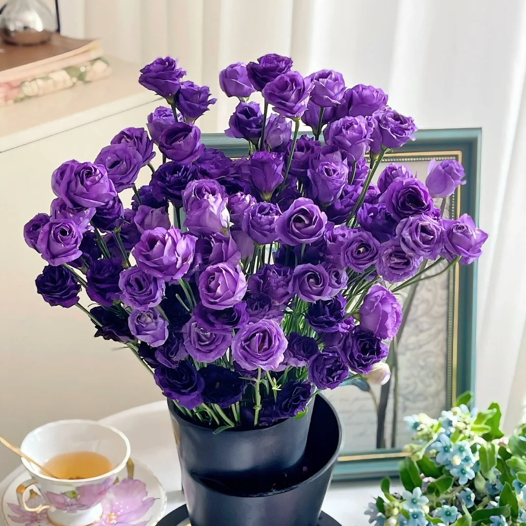 🌸 Lisianthus - The Romantic Fairy from Afar 🌸