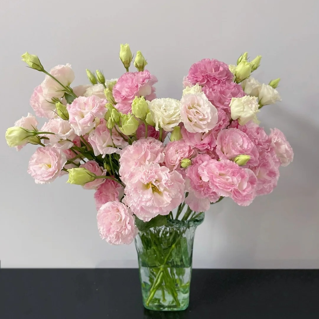 🌸 Lisianthus - The Romantic Fairy from Afar 🌸