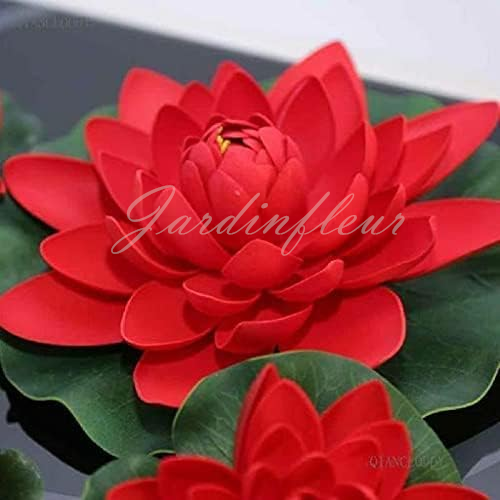 【50% de réduction】Graines Premium de Fleur de Lotus Bonsaï - Germination en 7 jours