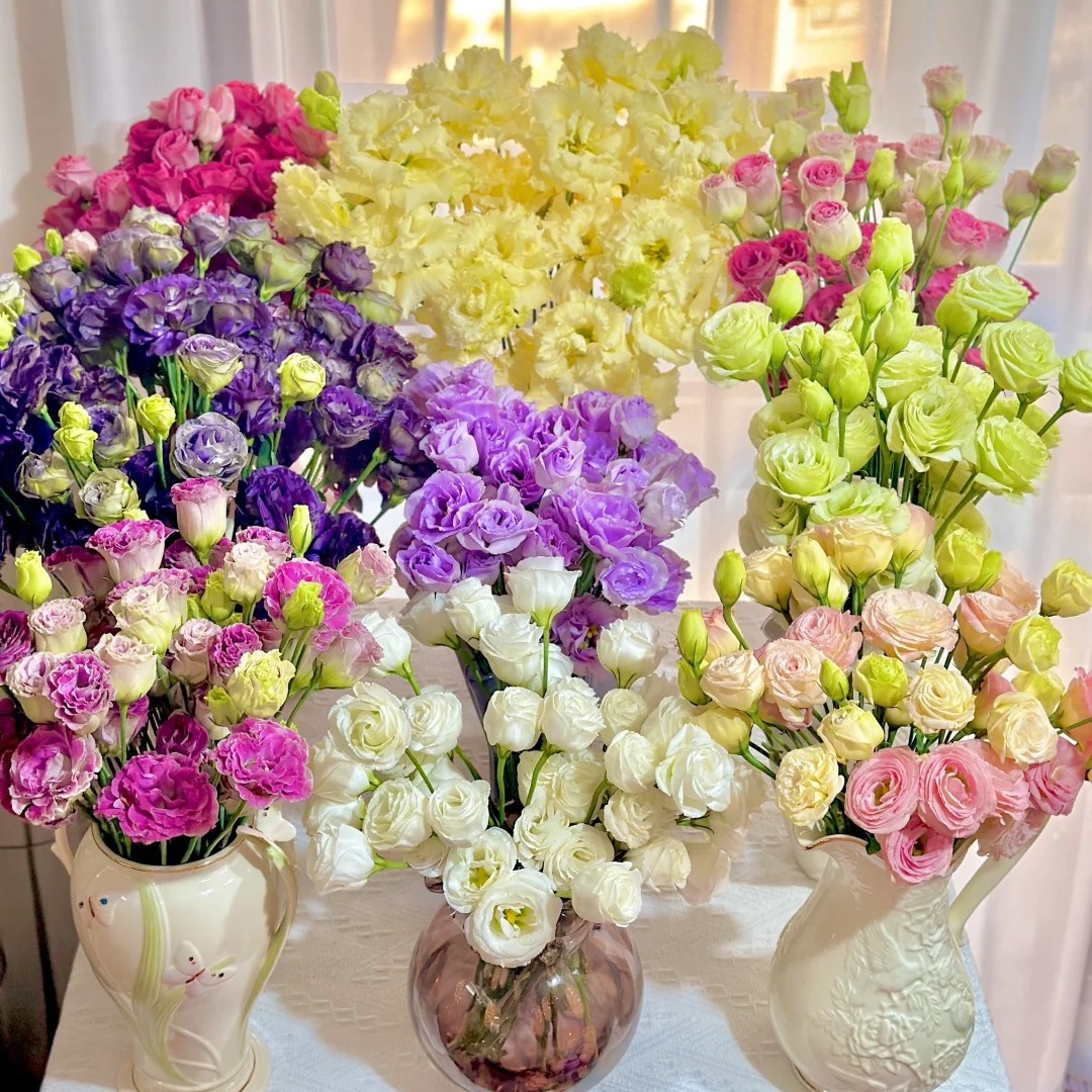 🌸 Lisianthus - The Romantic Fairy from Afar 🌸