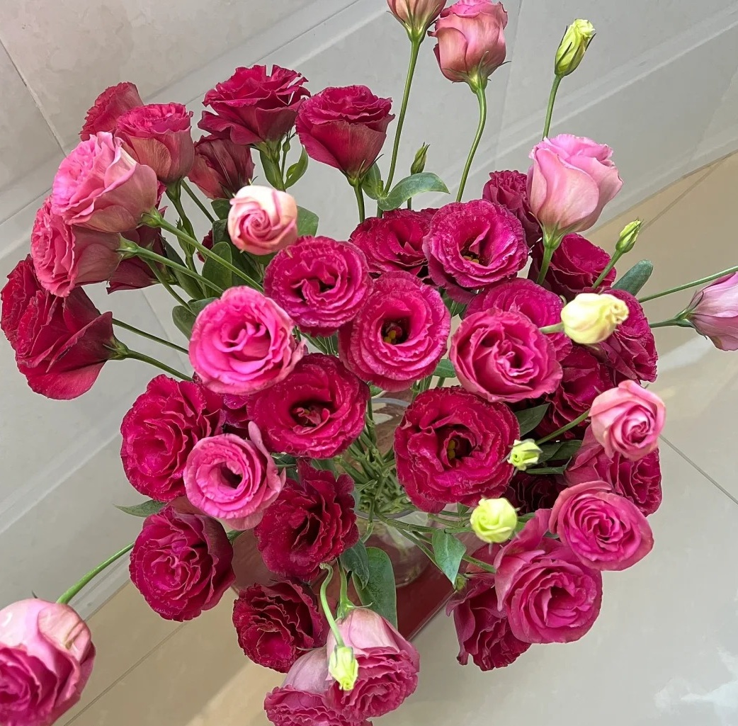 🌸 Lisianthus - The Romantic Fairy from Afar 🌸