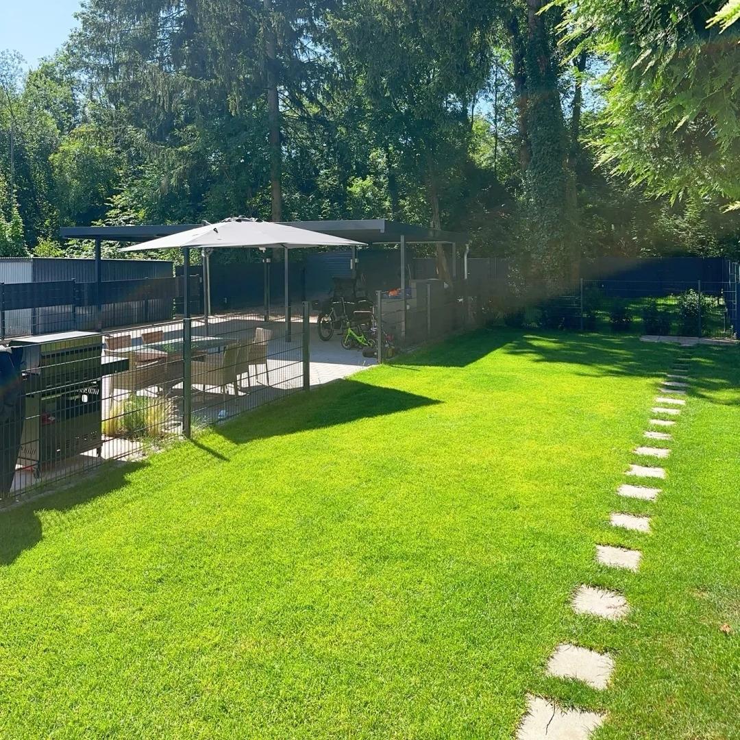 🔥🎁🌿Grass Seeds Mix