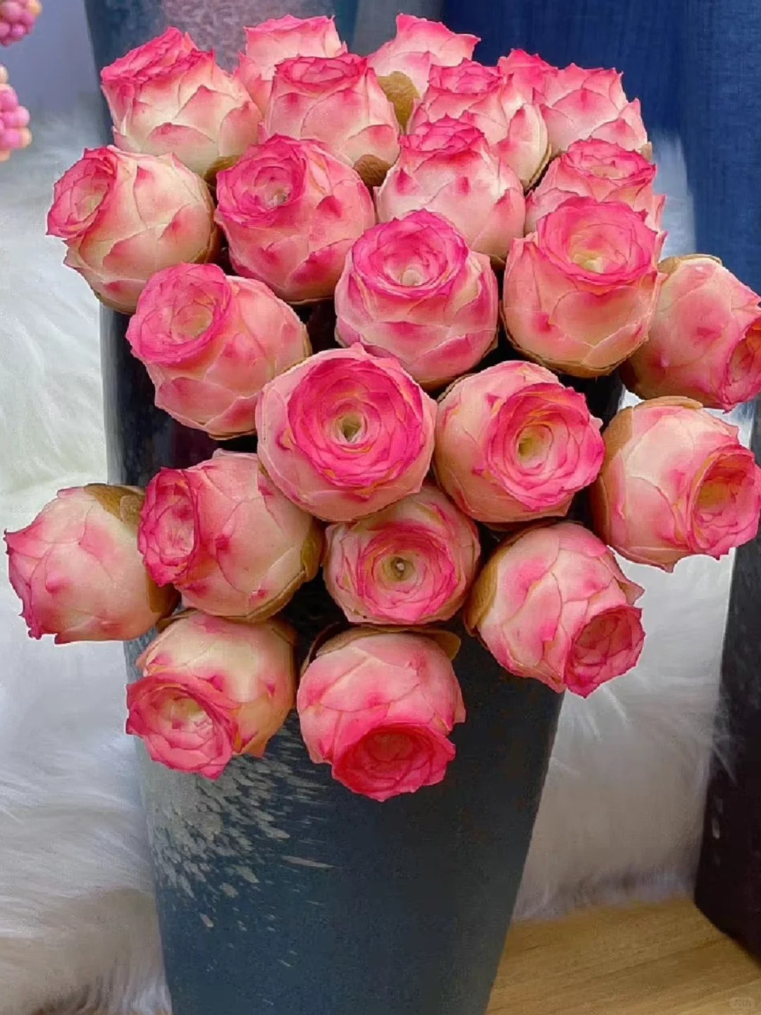 Mountain Rose Succulent (Sedum Spurium) 🌹🌿