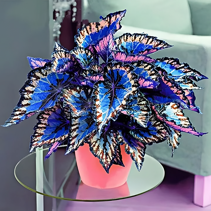 ColorBlast Grass: Turn Your Lawn into a Living Kaleidoscope!