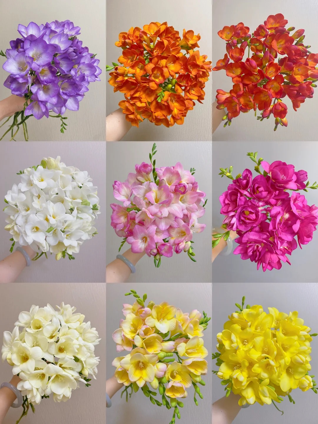 Freesia Bulbs --Comming Soon