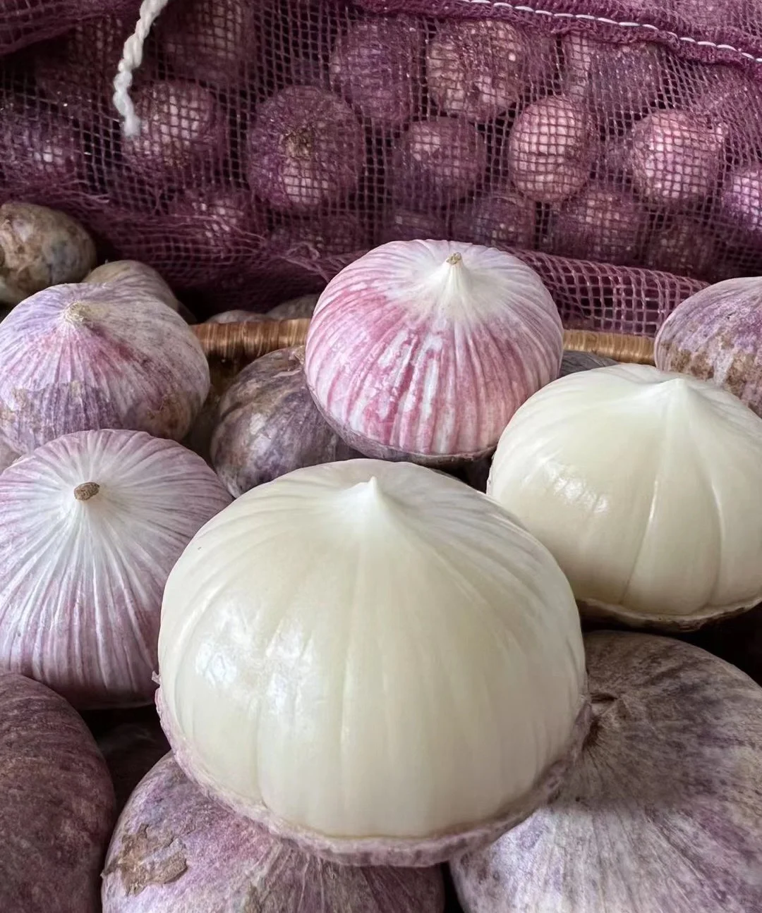 Purple Monolith Garlic Seeds🧄Nature’s Antioxidant Powerhouse