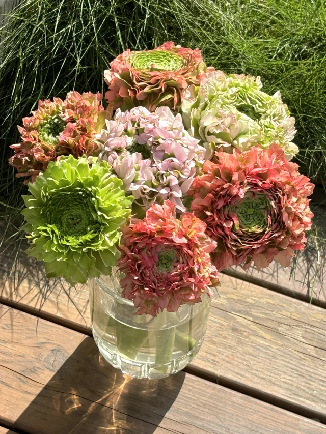 Ranunculus Koi Seeds