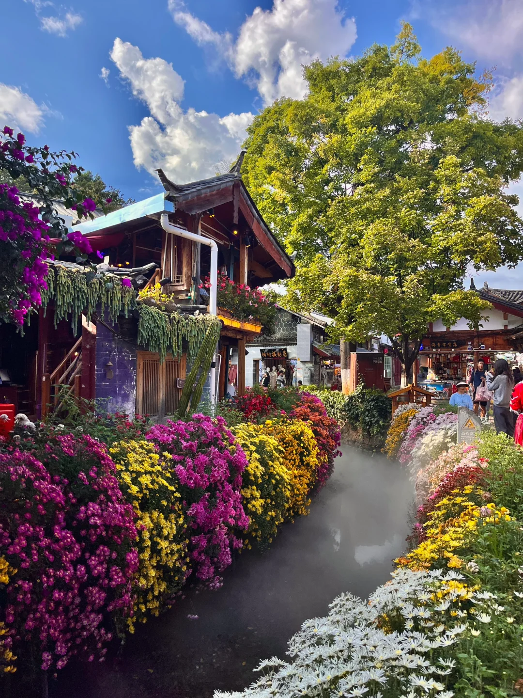 🌸 Mixed Perennial Flower Seeds - Over 60 Mixed Varieties🌱