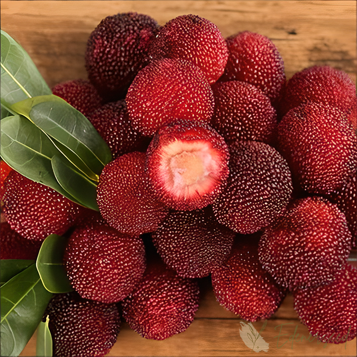 Giant Bayberry: Ping-Pong Ball Size, ⭐Strawberry-Cherry Fusion Flavor