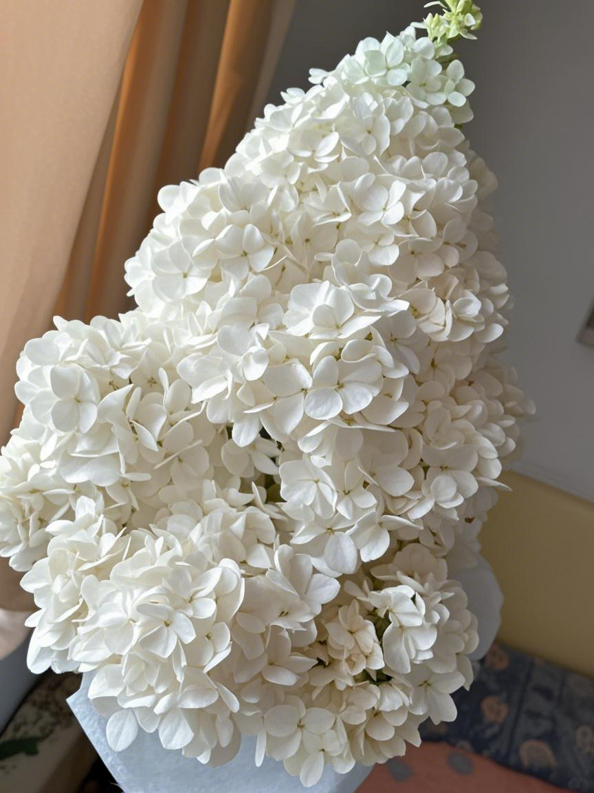 Grow Enchanting Hydrangeas from Seeds! 🌸🌿