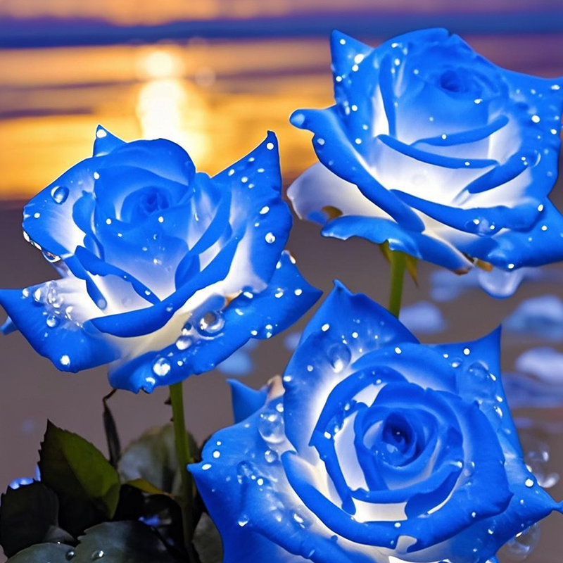 🌱 Rare-Tint Rose Seeds