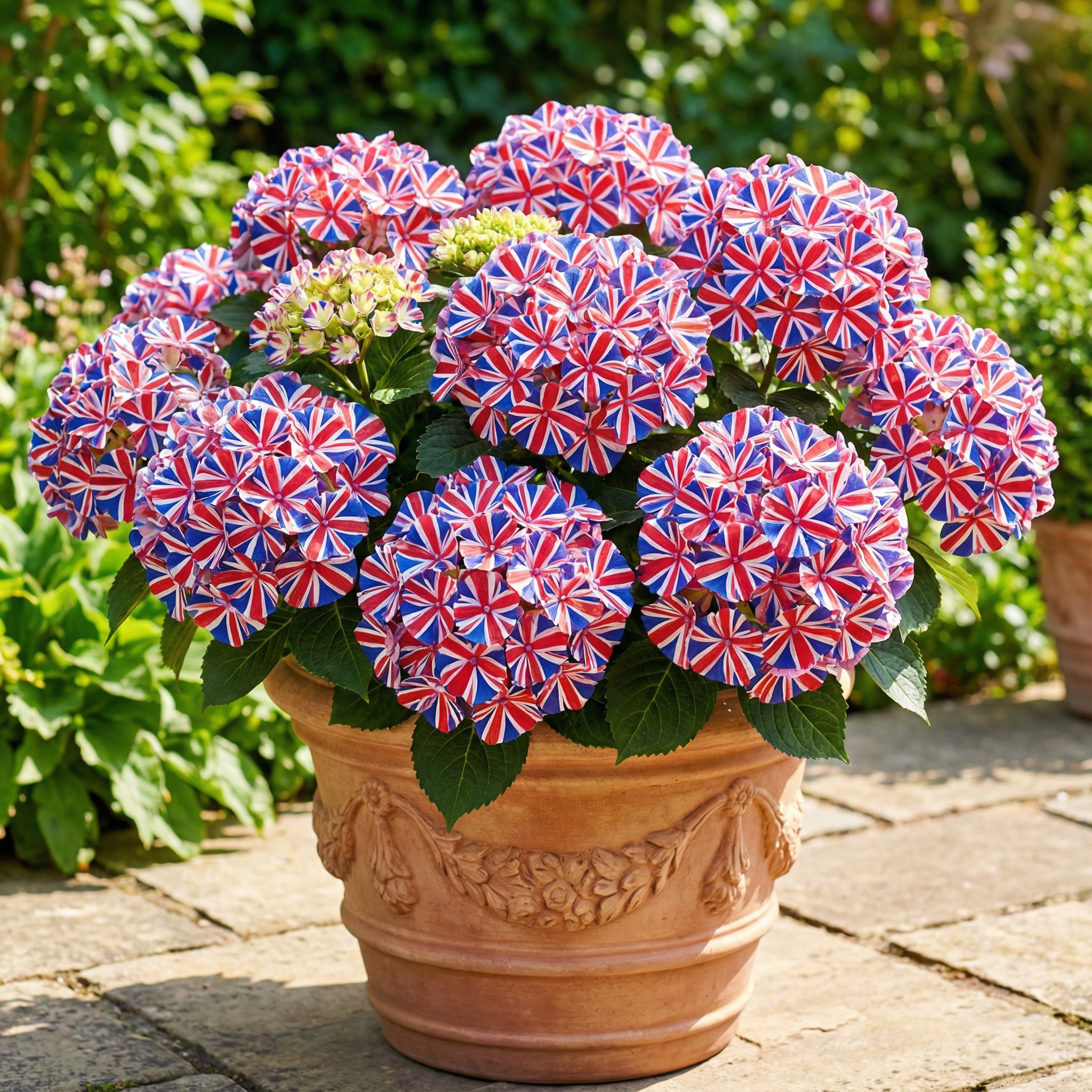 🌸 Turn your garden into a living flag