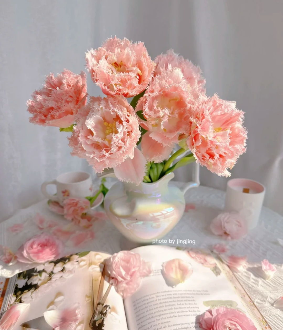 🌟 Rare Fringed Tulip Seeds 🌷✨