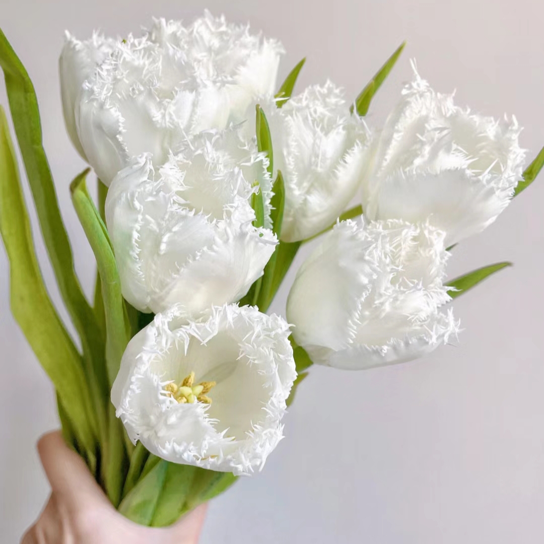 🌟 Rare Fringed Tulip Seeds 🌷✨