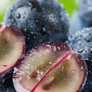 Jaboticaba Seeds - Grow Your Own "Tree Grapes" 🌳🍇