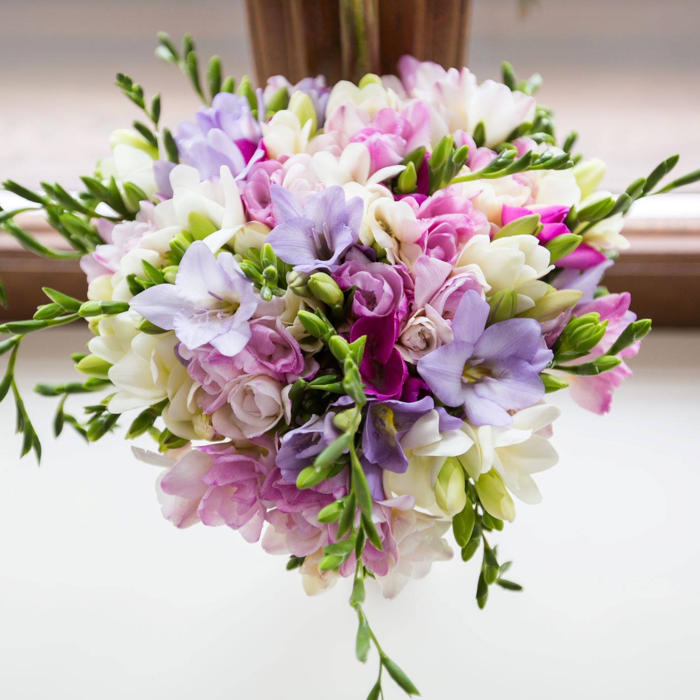 Freesia - Berries & Cream Collection