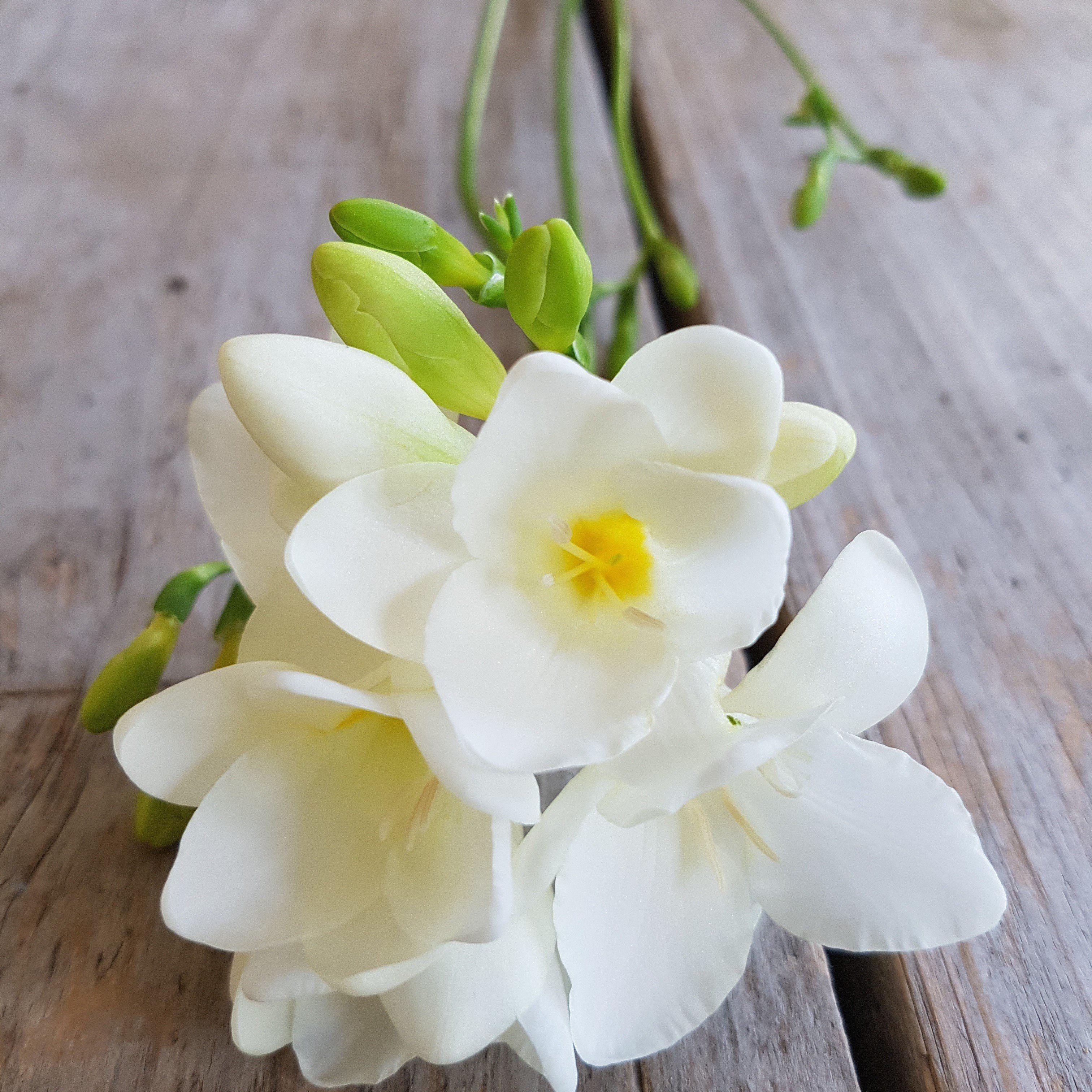 Freesia - Bountiful Bouquets Collection