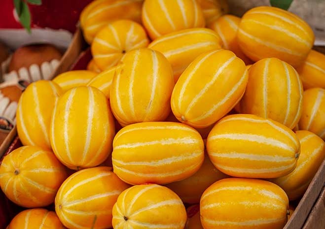 Golden Honey Melon Seeds