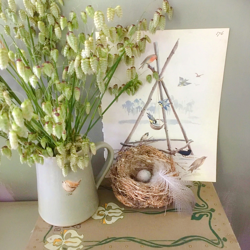 Chasmanthium latifolium (Northern Sea Oats) Seeds