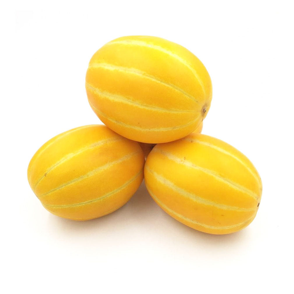 Golden Honey Melon Seeds